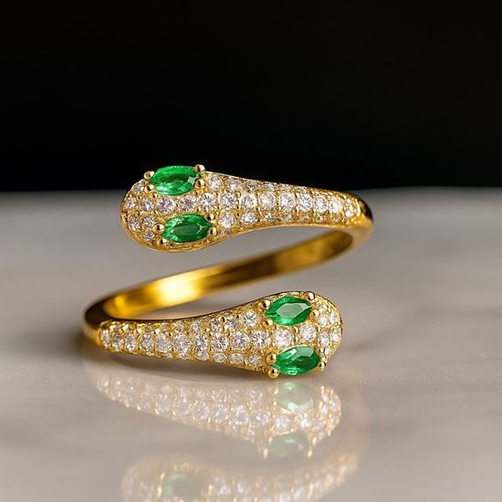 Immagine di Anello donna zirconia in acciaio inox-Snake