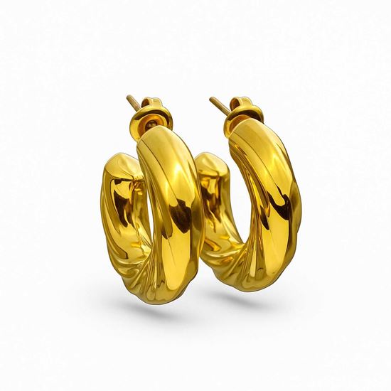 Immagine di Orecchini Acciaio Inox Elegante Donna Water Proof -  Paris