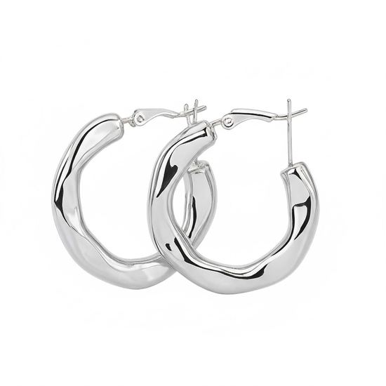 Immagine di Orecchini Cerchio Elegante Acciaio Inox Donna - Leona