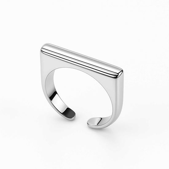 Immagine di Anello acciaio inox rigido regolabile - Onore