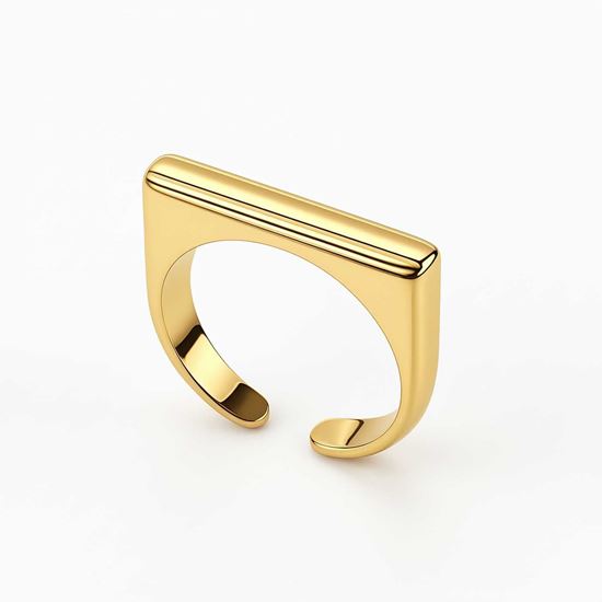 Immagine di Anello acciaio ino rigido regolabile- Onore