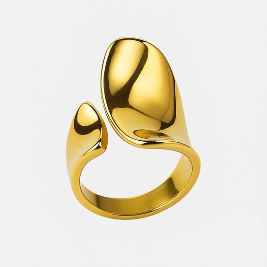 Immagine di Anello acciaio inox - Kinna