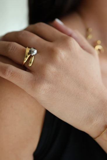 Immagine di Anello  bicolor acciaio inx regolabile-Dorthy Flu