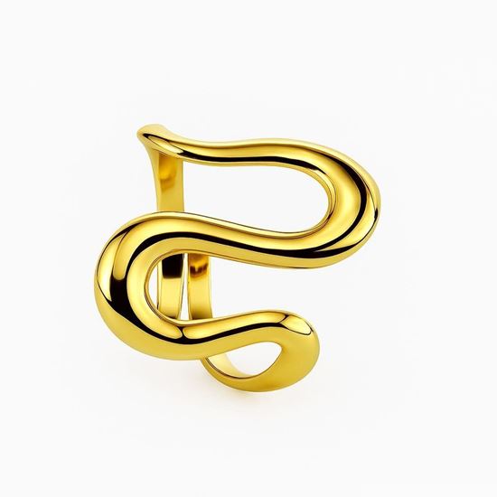 Immagine di Anello acciaio inox -Naya