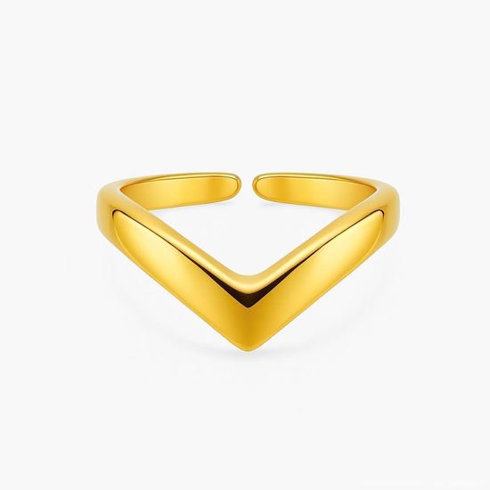 Immagine di Anello mignolo acciaio inox-Vittoria