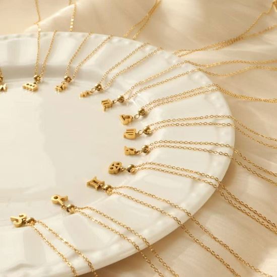 Immagine di Collana Charm 12 segni zodiacali ad ago Regolabile - INCANTO