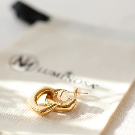 Immagine di Orecchini a Goccia Grossa Acciaio placcato Oro 18k  Inox Leggero - Adalia