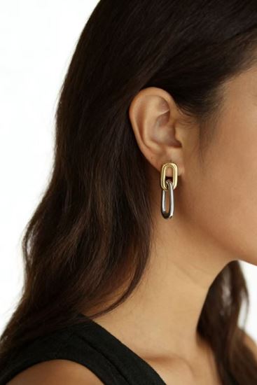 Immagine di Orecchini Forma Catena Acciaio Inox Donna - Elvia