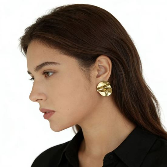 Immagine di Orecchini Acciaio Inox Water Proof Donna Elegante - Oles