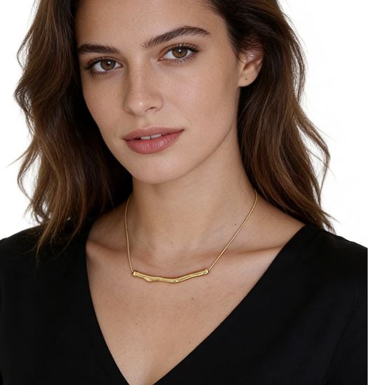 Immagine di Collana  Acciaio Inox Donna Water Proof -  bambù gold