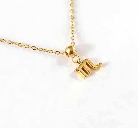 Immagine di Ciondolo  Acciaio Inox simboli zodiacali - INCANTO