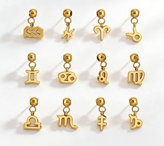 Immagine di Ciondolo  Acciaio Inox simboli zodiacali - INCANTO